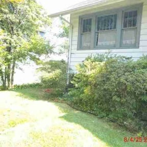 Bush Trimming by Rey&#039;s Home Solutions L.L.C reviewed on November 10, 2025