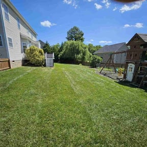 yard maintenance by Fine Line Solutions reviewed on August 16, 2025