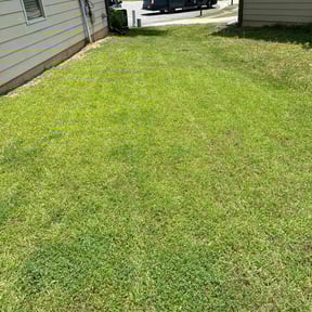 turf maintenance by Land King reviewed on May 6, 2024
