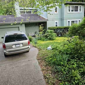 Bush Trimming by Complete Lawn Care reviewed on August 16, 2025