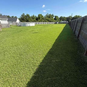 landscaping by Adam Wisdom reviewed on May 17, 2022