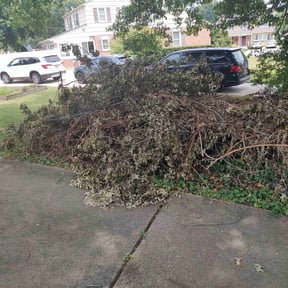 Bush Trimming by Denson's Total Lawn Care reviewed on August 15, 2025