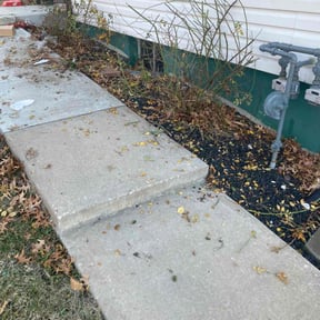 Bush Trimming by CV LAWN MAINTENANCE LLC reviewed on August 16, 2025