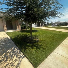 yard work by Wildflower Lawn Care Company reviewed on January 27, 2026