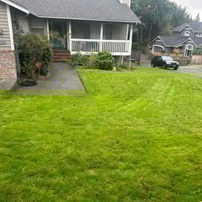 yard service by Ayres inc. reviewed on August 19, 2025
