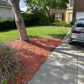 residential landscaping by My small dic reviewed on August 17, 2025