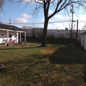 Leaf Removal by Torres Transformations reviewed on September 18, 2025