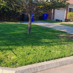 Bush Trimming by Red Line Lawn Care reviewed on August 19, 2025