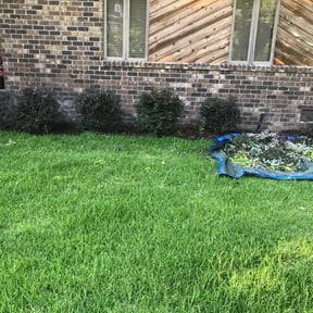 Bush Trimming by B.mendoza lanscaping reviewed on August 18, 2025