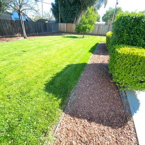 landscaping services by Vito's lawn and gutter care reviewed on August 15, 2025