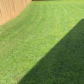 yard maintenance by Fredy&#039;sLawnmovingservice reviewed on November 20, 2025