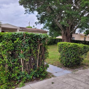 Bush Trimming by Re Image lawn care reviewed on August 17, 2025