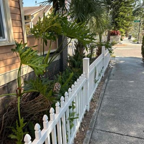 Bush Trimming by Caesar’s Premier Landscaping reviewed on August 18, 2025