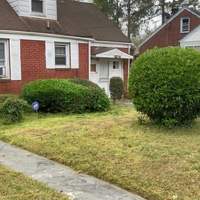 Bush Trimming by Backwood land management reviewed on August 21, 2025