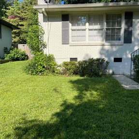 Bush Trimming by Yard doctor and More reviewed on August 21, 2025