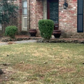 Bush Trimming by Showers Grow &amp; Mow reviewed on November 21, 2025