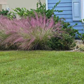 Flower Bed Weeding by Farmer&#039;s Vision LLC reviewed on November 10, 2025