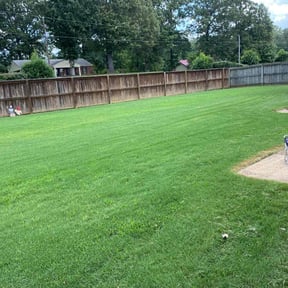 yard maintenance by Mitchell's Lawn Care reviewed on August 21, 2025