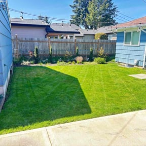 yard work by Nathan&#039;s lawn &amp; maintenance reviewed on November 24, 2025