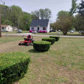 Bush Trimming by S &amp; R Landscaping LLC reviewed on April 4, 2026
