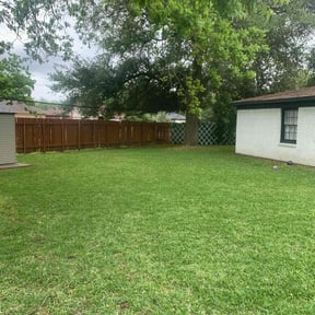 gardening service by Green peppermint reviewed on November 24, 2025