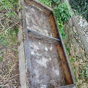 Flower Bed Weeding by AJ’s Landscaping reviewed on August 17, 2026
