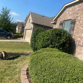 Bush Trimming by Mr. Mow's it All reviewed on November 21, 2025