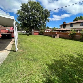 yard care by The lawn barber services reviewed on August 15, 2025