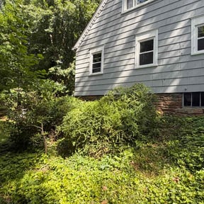 Bush Trimming by JD Lawn care and property maintenance reviewed on June 11, 2026