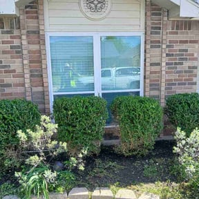 Bush Trimming by Keep it Loe Lawn Service reviewed on April 11, 2026