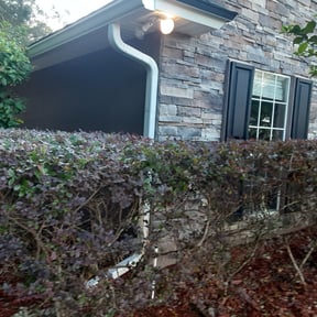 Bush Trimming by Donald Austile Lawn Care reviewed on August 20, 2025