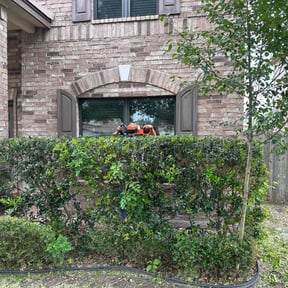 Bush Trimming by Grass Grabbers reviewed on August 17, 2025