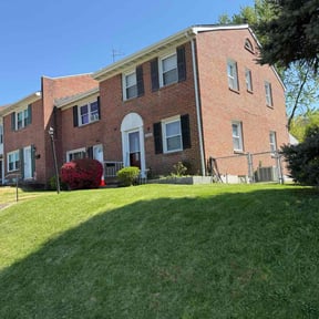 turf maintenance by Sons of God Landscaping LLC reviewed on June 9, 2025