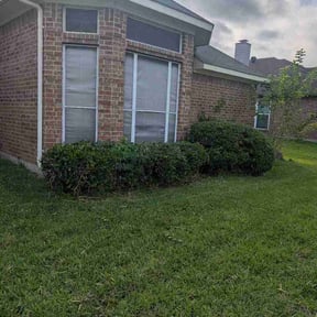 Bush Trimming by TC 's lawncare service reviewed on June 6, 2026