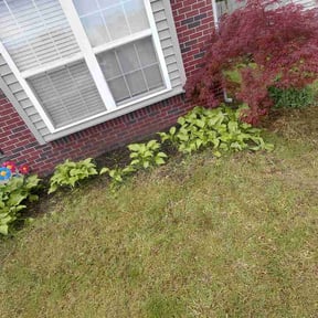 Flower Bed Weeding by Grasshoppers Landscaping reviewed on May 19, 2026