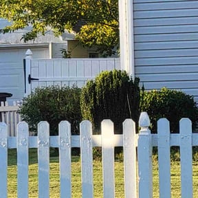 Bush Trimming by The Grass Guy reviewed on December 4, 2025