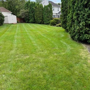 landscaping services by Ornamental landscape LLC reviewed on November 22, 2025