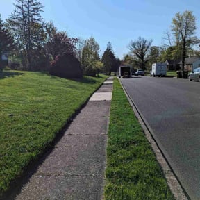 yard maintenance by 12's Company Family lawn Services reviewed on August 18, 2025