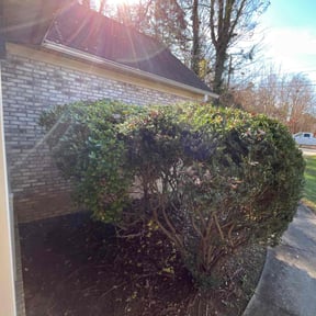 Bush Trimming by Ryan&#039;s Mowing LLC reviewed on April 20, 2022