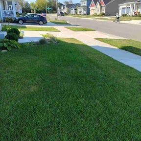 landscaping services by Willie's Mobile Lawn Services reviewed on August 18, 2025