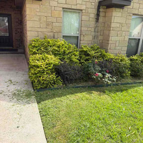 Bush Trimming by The Lawn Cypress reviewed on July 29, 2026