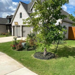 landscape maintenance by Alpha Brothers Propery Maintenance reviewed on August 16, 2025