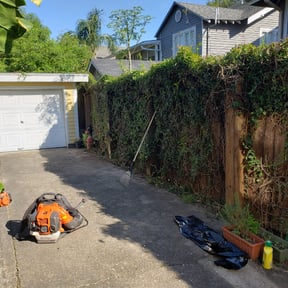 Bush Trimming by Chicagoland Lawncare reviewed on August 17, 2025