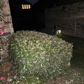 grass cutting by Doug&#039;s Lawn Care reviewed on July 8, 2025