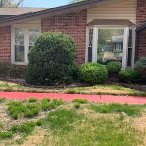 Bush Trimming by RJL Services reviewed on August 21, 2025