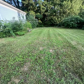 lawn care services by Black horse reviewed on May 8, 2024