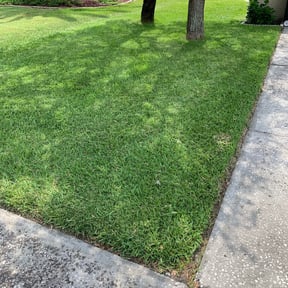 lawn maintenance by Thom&#039;s mowing and lawn care reviewed on August 20, 2025