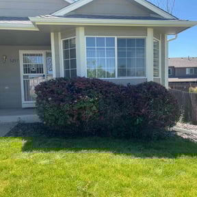 Bush Trimming by ACS Lawn Care reviewed on August 21, 2025