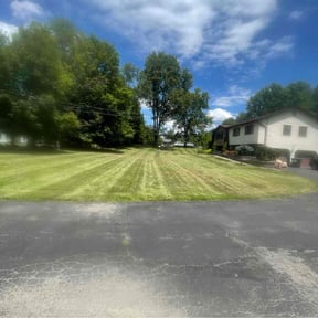 turf maintenance by The Culture Biz LLC reviewed on November 2, 2024