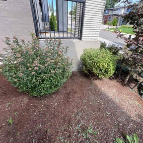 Bush Trimming by AM Lawn Care reviewed on December 15, 2025